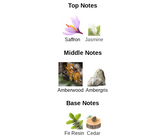 Musky Forest - Impression of Baccarat Rouge 540